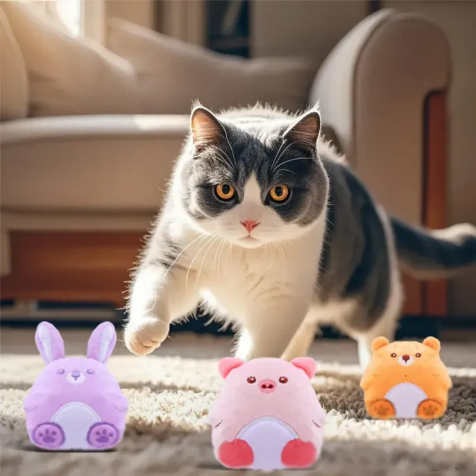 pet shop cat toy pet shop cat toy