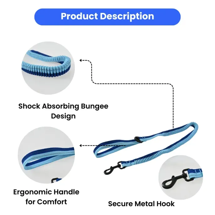 Dog Shock Absorbing Leashes Dog Shock Absorbing Leashes