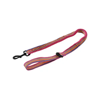 Dog Elastic Leash Dog Elastic Leash