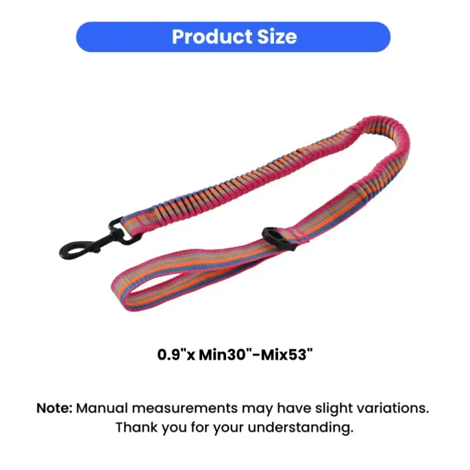 dog leash_2 dog leash_2