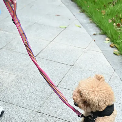 Wholesale Dog Elastic Leash Wholesale Dog Elastic Leash