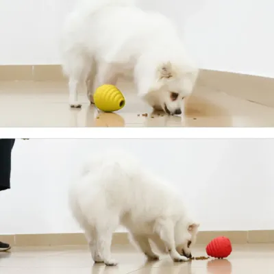treat release toy
