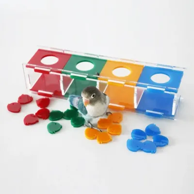 interactive parrot toy