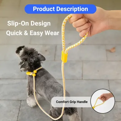 grooming dog lead