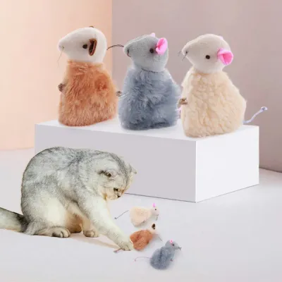 interactive pet product