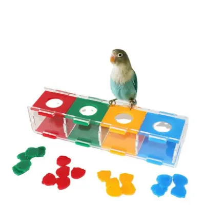 parrot training toy
