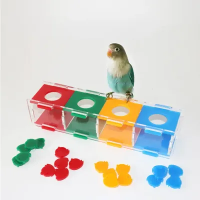 smart parrot toy