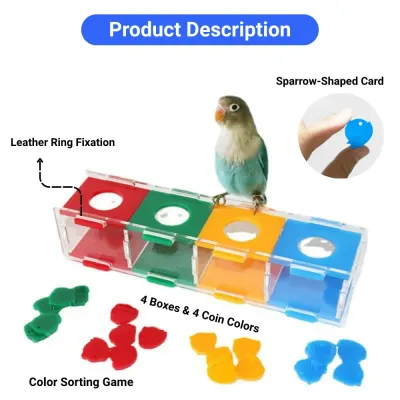 color sorting toy