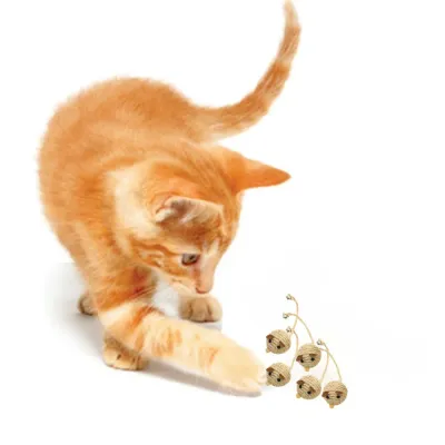 Mice cat toy Mice cat toy