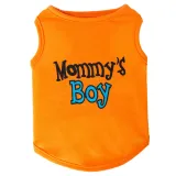 teddy dog outfit