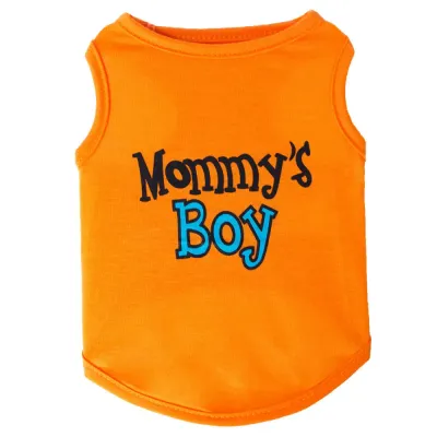 teddy dog outfit