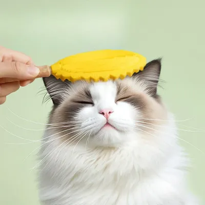 cat fur cleaning tool