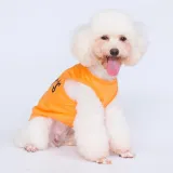 pet clothes for small breeds