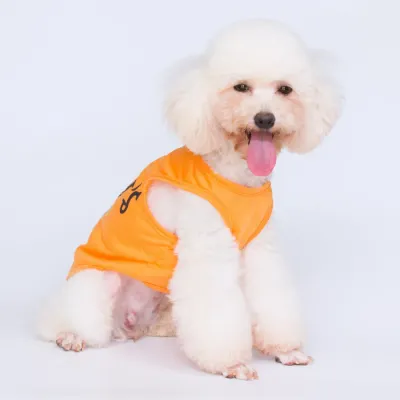 pet clothes for small breeds pet clothes for small breeds