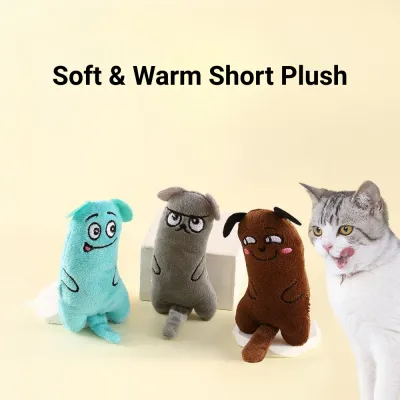 cat self play toy