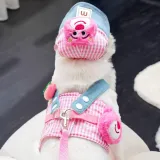 pet hat and harness