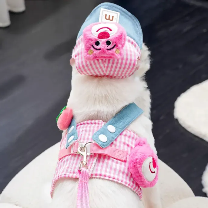pet hat and harness