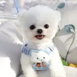 dog leash set