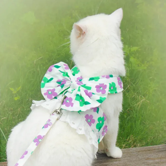 pet harness with leash