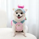 durable leash set