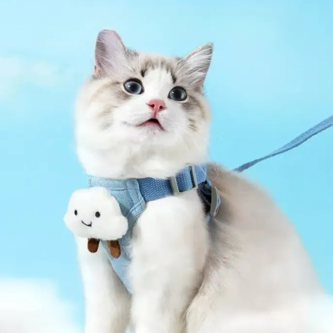 cat harness set