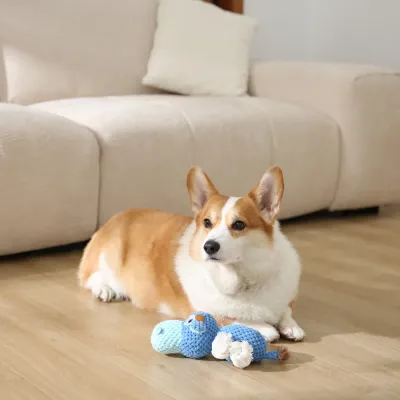 plush dog Toy_5 plush dog Toy_5