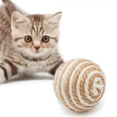 cat activity toy cat activity toy