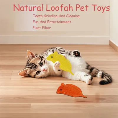 chew toy for cats