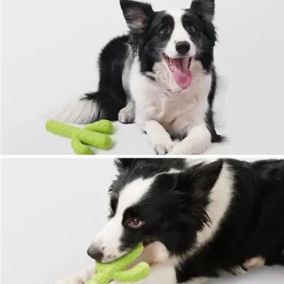 tough rubber dog chew