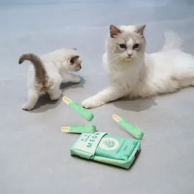 self-play cat toy self-play cat toy