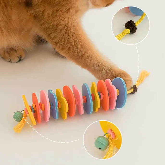 cat spring teaser