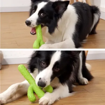 dog cactus toy