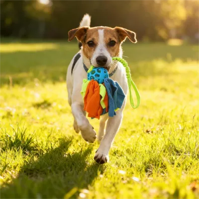 dog fetch toy dog fetch toy