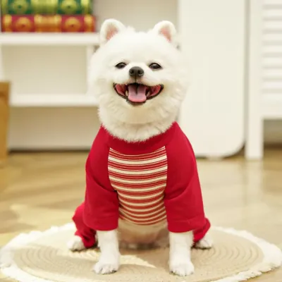 soft dog tee soft dog tee