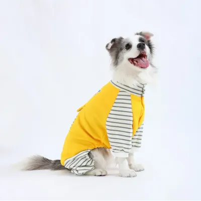 golden retriever winter suit golden retriever winter suit