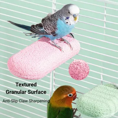 sand perch for birds sand perch for birds