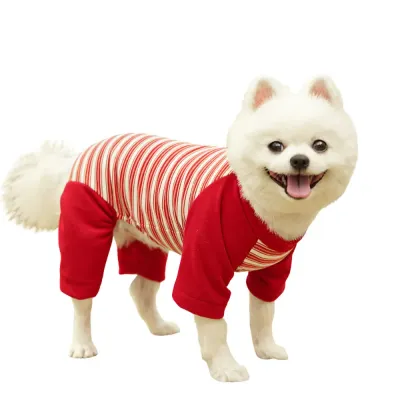 striped dog shirt striped dog shirt