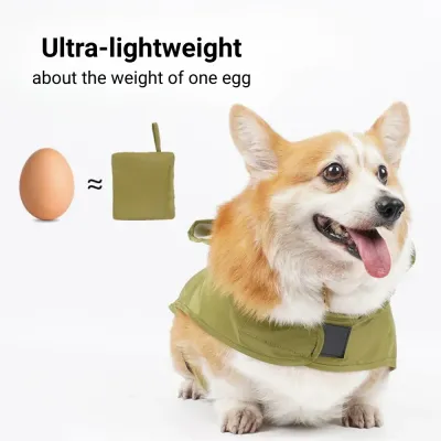 medium dog raincoat
