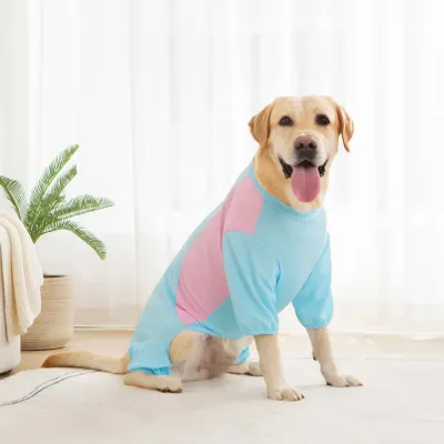 color block dog apparel color block dog apparel