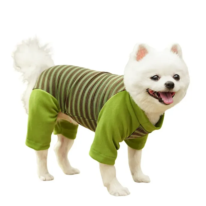 large dog striped outfit large dog striped outfit