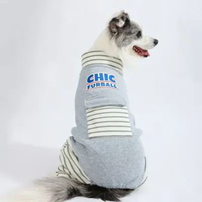 labrador dog winter coat labrador dog winter coat