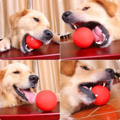 elastic chew toy elastic chew toy