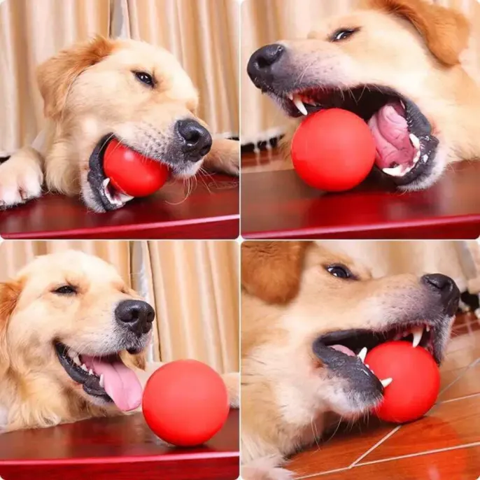 elastic chew toy elastic chew toy