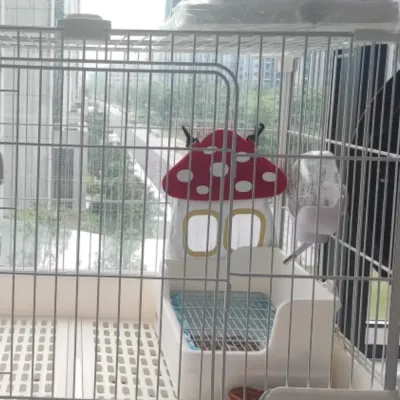hamster hay feeder hamster hay feeder