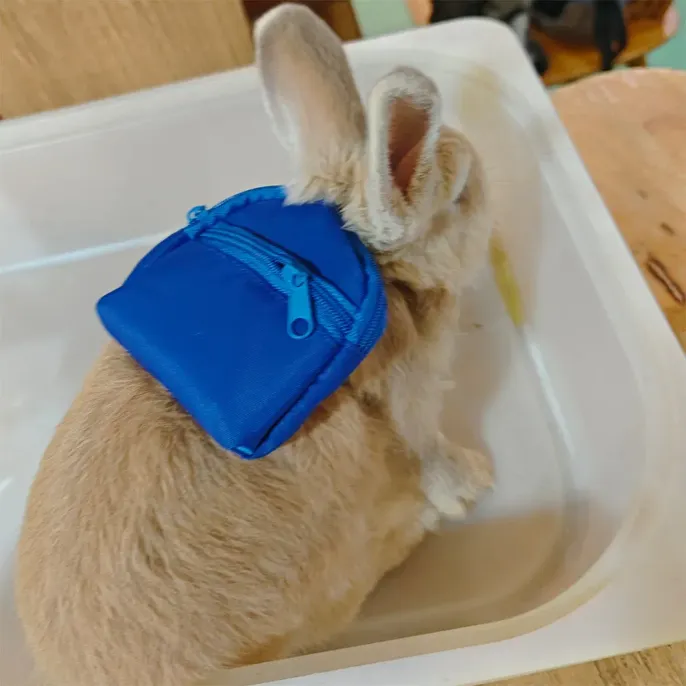 rabbit walking set