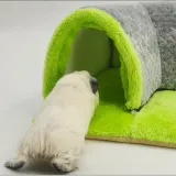 corner pet tunnel