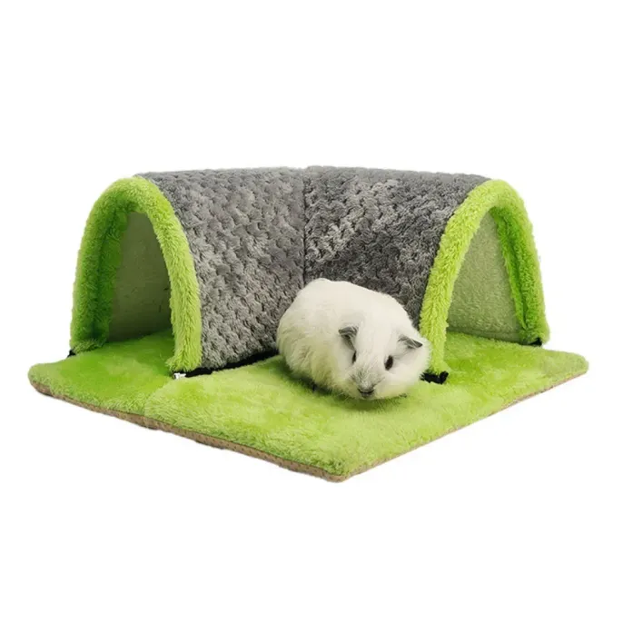 chinchilla tunnel