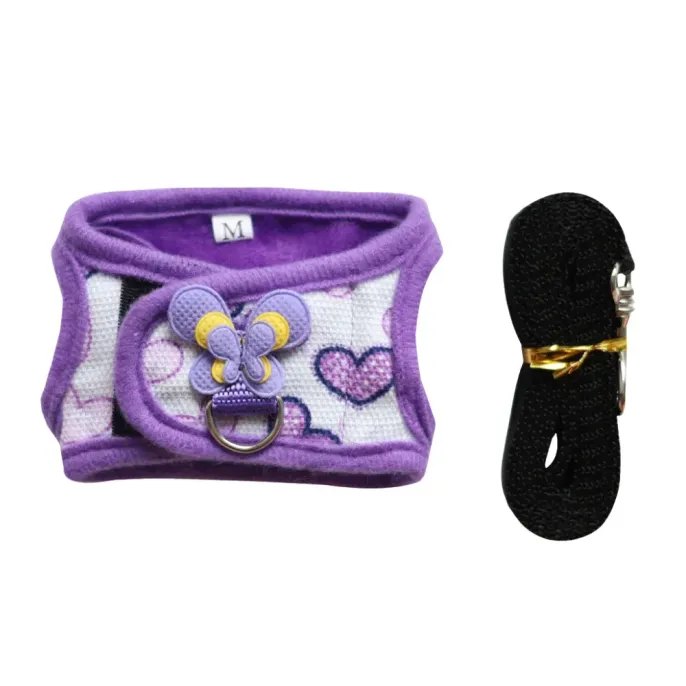 hedgehog outdoor leash