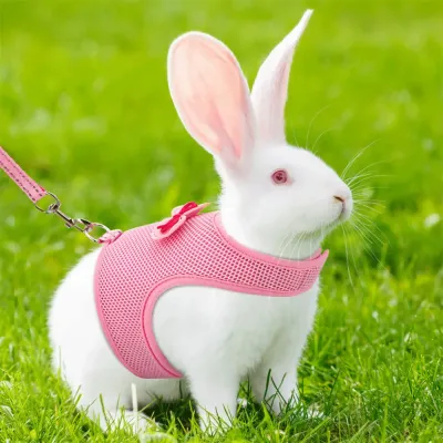 ferret harness ferret harness