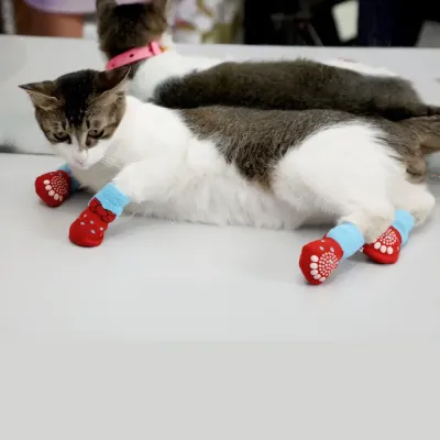 paw protection socks paw protection socks